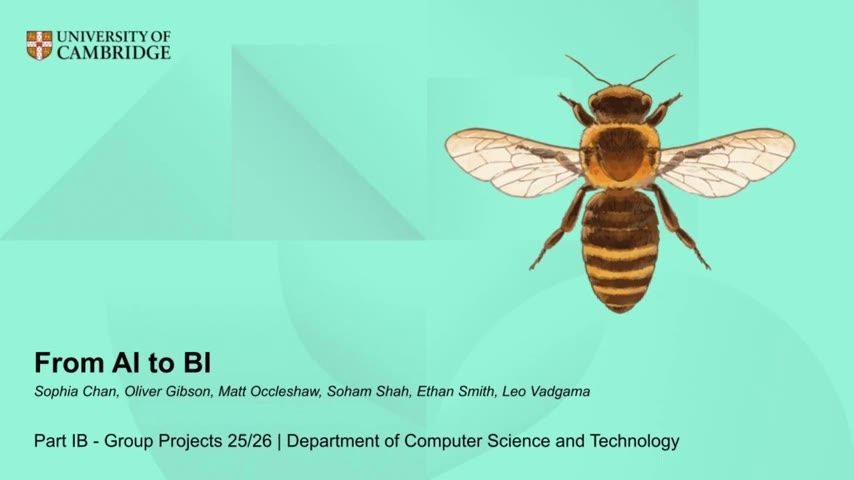 Title card from the From AI to BI project video